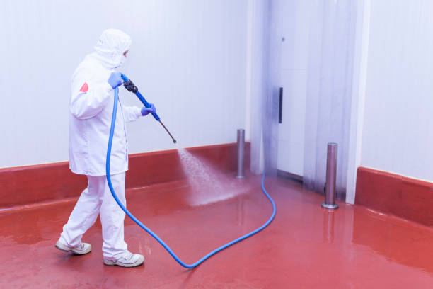 Best Concrete Sealing  in Navajo, NM